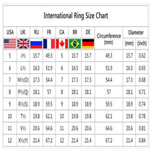 Load image into Gallery viewer, Luxury Micro Paved Dazzling Classic Women Stud Earrings Silver
